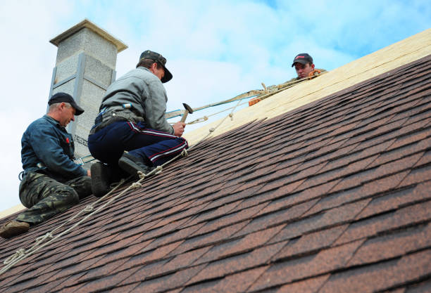 Roof Waterproofing Services in Carrboro, NC